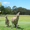 Sussex Inlet Golf Course